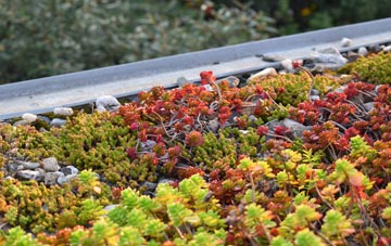 the cost of Hawk Green green roof installation