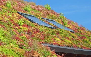 Hawk Green living roof systems