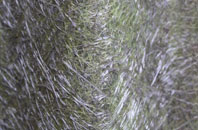 Hawk Green fibreglass roof work